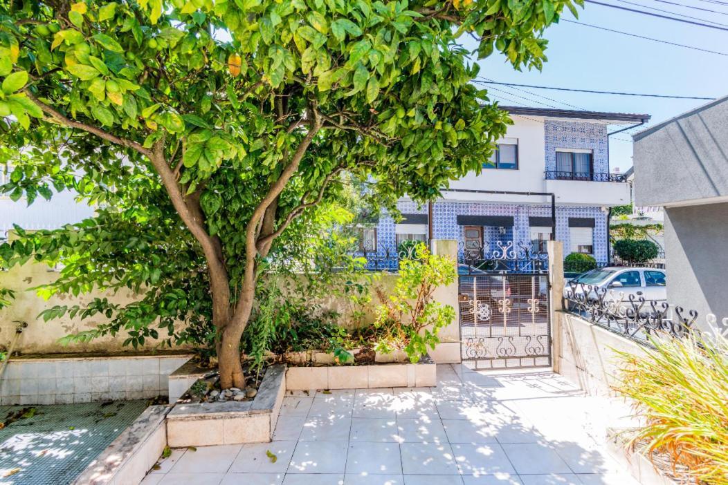 Casa Dos Azulejos Bed & Breakfast มาโตซีนโญส ภายนอก รูปภาพ